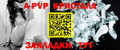 дурь Кингисепп