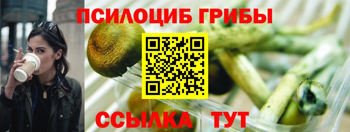 Галлюциногенные грибы ЛСД  Вход с VPN  Южно-Сахалинск  закладка  Псилоцибиновые грибы MAGIC MUSHROOMS 